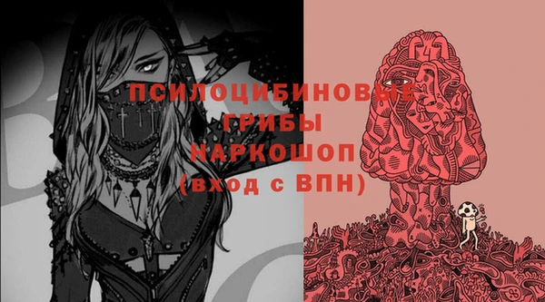 дмт Каменск-Шахтинский