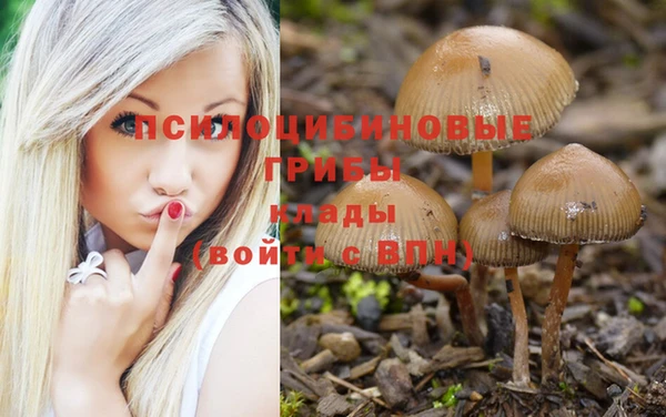дмт Каменск-Шахтинский
