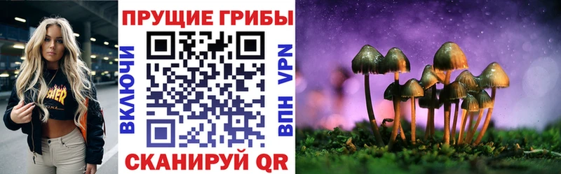 Галлюциногенные грибы прущие грибы  Купить где  Зеленоградск 